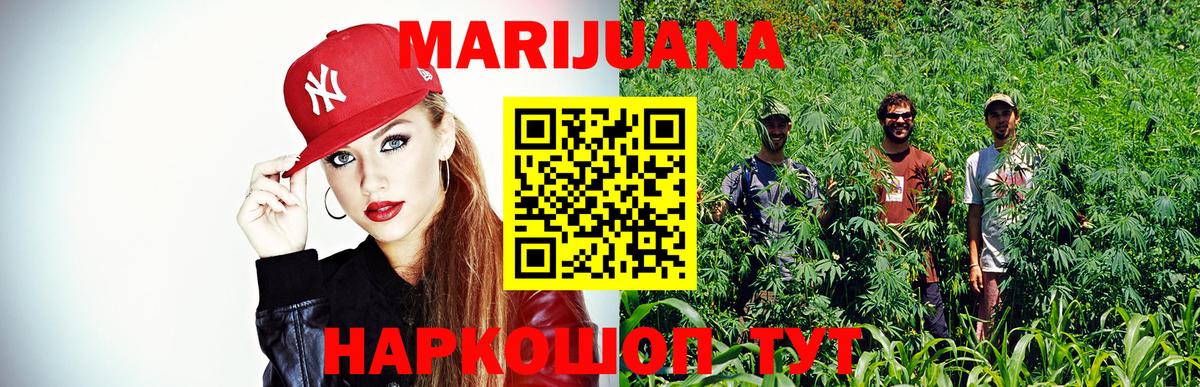 Шишки марихуана сатива  Вход с VPN  Красноярск  Конопля OG Kush  Конопля OG Kush 